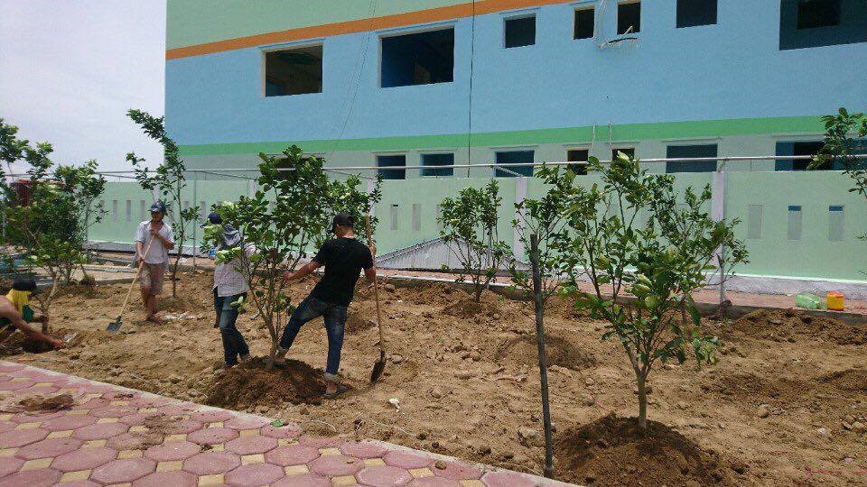 Công trình sân vườn tại trường mầm non TP Sầm Sơn